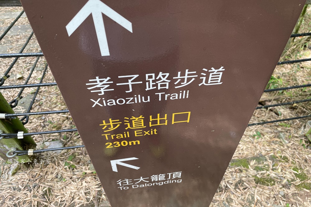 嘉義梅山【孝子路步道】健走超美綠竹林與綠色山路打卡點