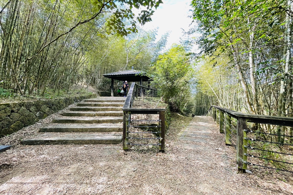 嘉義梅山【孝子路步道】健走超美綠竹林與綠色山路打卡點