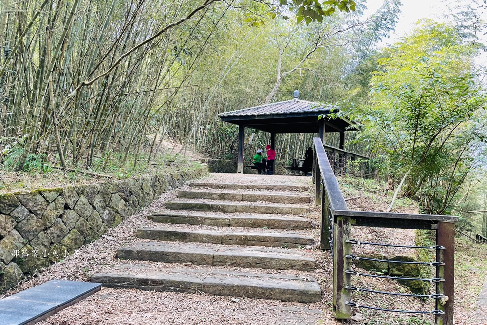 嘉義梅山【孝子路步道】健走超美綠竹林與綠色山路打卡點