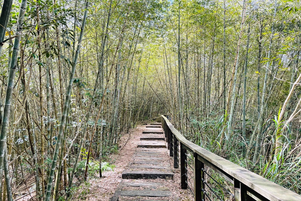 嘉義梅山【孝子路步道】健走超美綠竹林與綠色山路打卡點