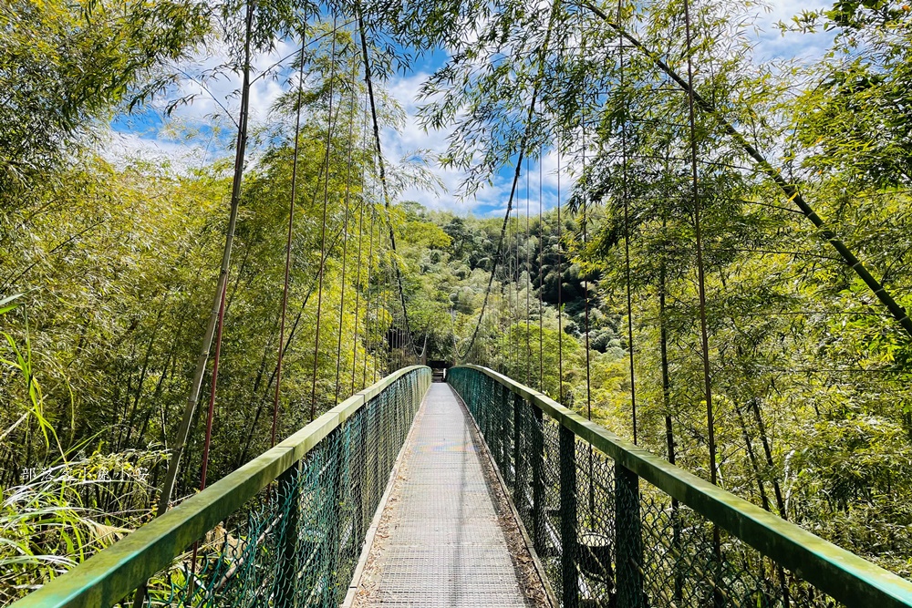 嘉義梅山孝子路步道健走，超美綠竹林與綠色山路打卡點