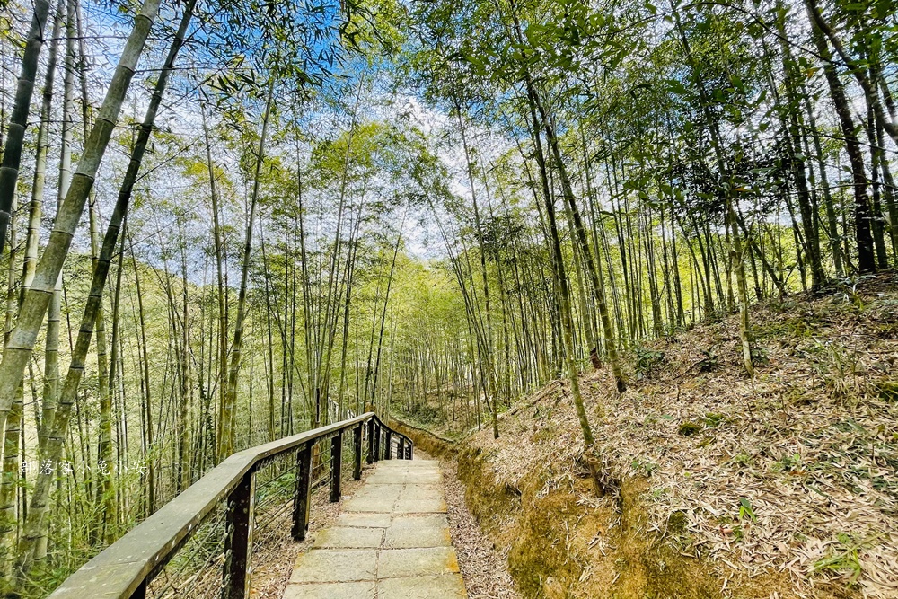 嘉義梅山【孝子路步道】健走超美綠竹林與綠色山路打卡點