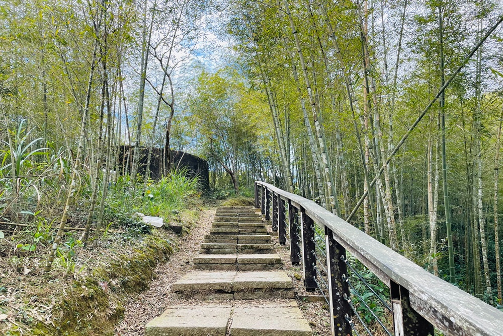 嘉義梅山【孝子路步道】健走超美綠竹林與綠色山路打卡點