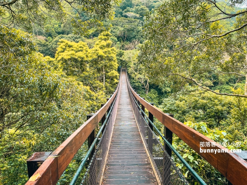 屏東戶外景點｜屏東雙流國家森林