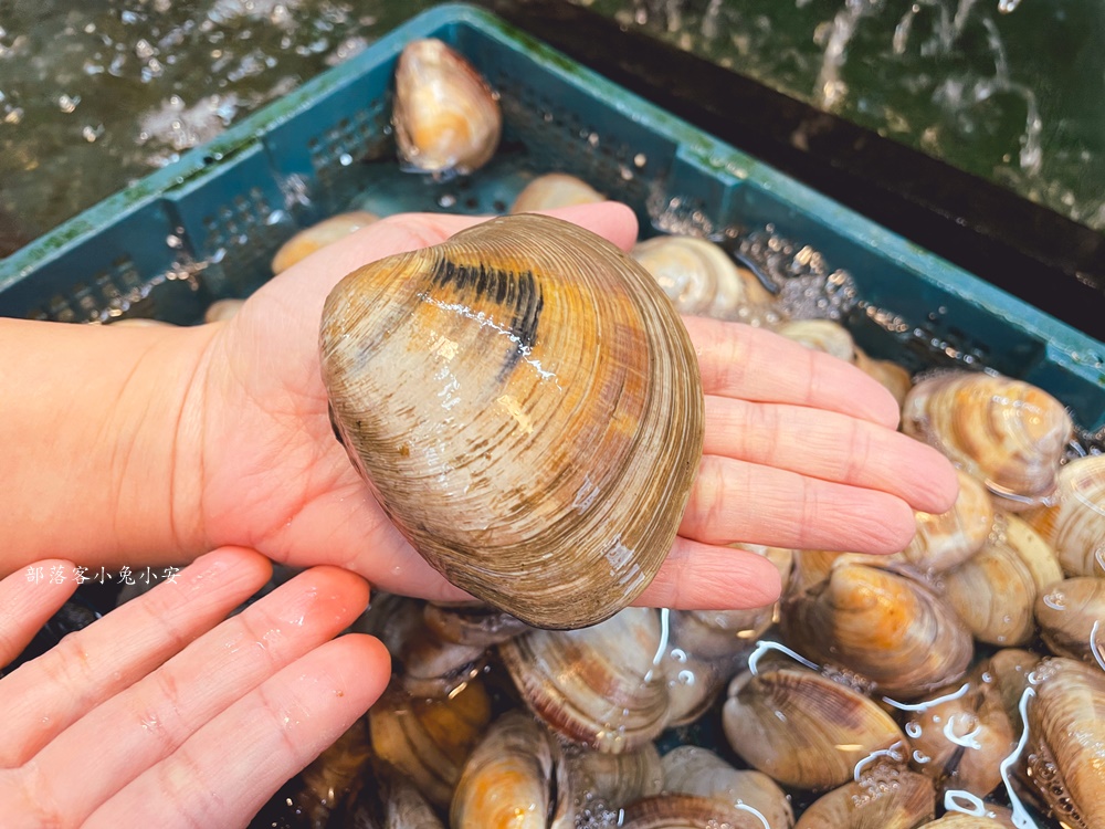 屏東【阿興生魚片】兩百元四十片生魚片，後壁湖吃生魚片首選