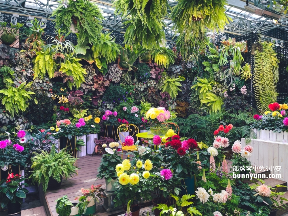 彰化【菁芳園】美麗登場，夢幻繽紛花牆，玻璃小屋隨你拍照