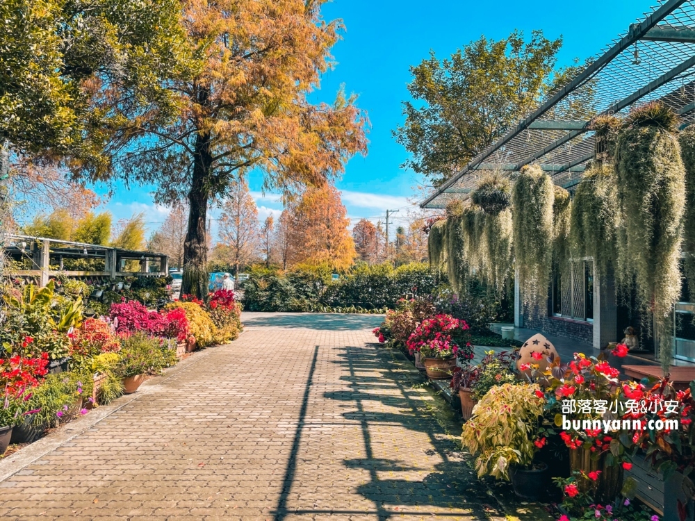 彰化【菁芳園】美麗登場，夢幻繽紛花牆，玻璃小屋隨你拍照