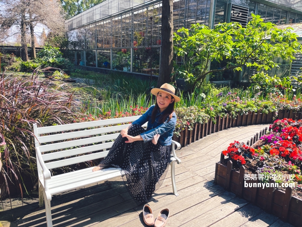 彰化【菁芳園】美麗登場，夢幻繽紛花牆，玻璃小屋隨你拍照