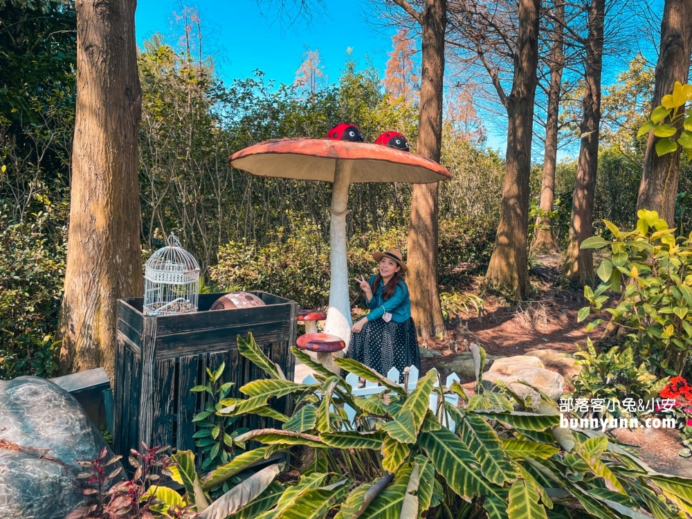 彰化【菁芳園】美麗登場，夢幻繽紛花牆，玻璃小屋隨你拍照