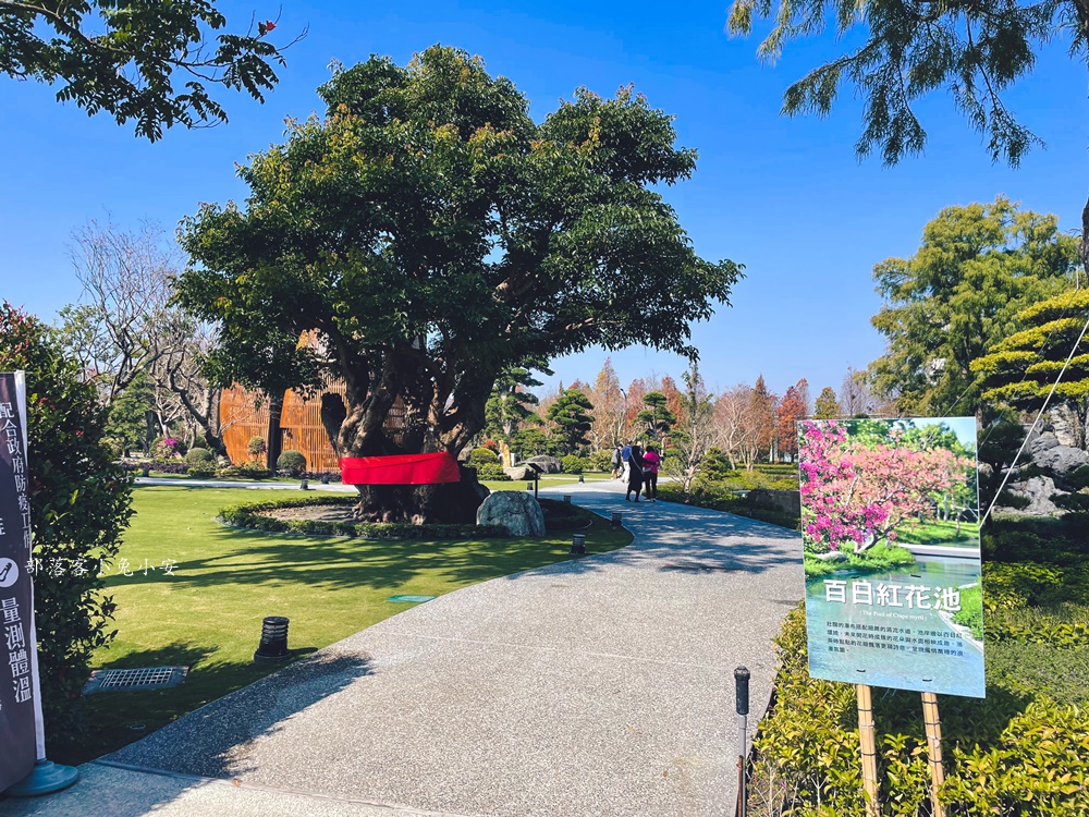 彰化【成美文化園】如詩如畫日式莊園，落羽松大道、禪意庭院、浪漫玫瑰園全攻略！