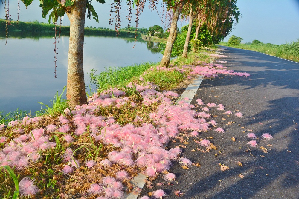 宜蘭新秘境》冬山河休閒農業區兩天一夜，鴨母船河道漂流，鴨寮餵小鴨吃飯