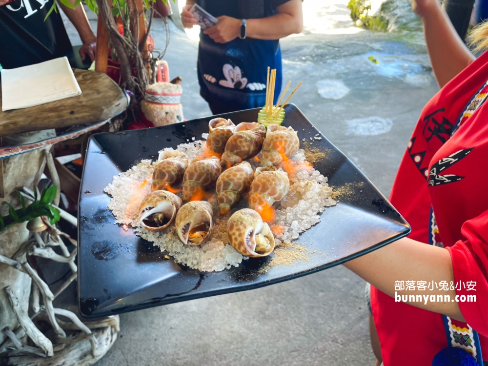 花蓮【月崖灣親子農場】一邊看海一邊餵水豚吃飯真好玩