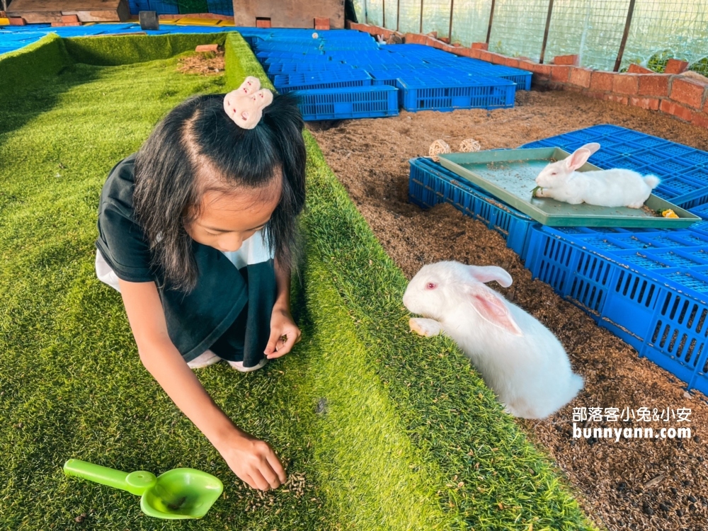 台北小奈良》淡水親子農場，像鄰家後院般的戶外小天地