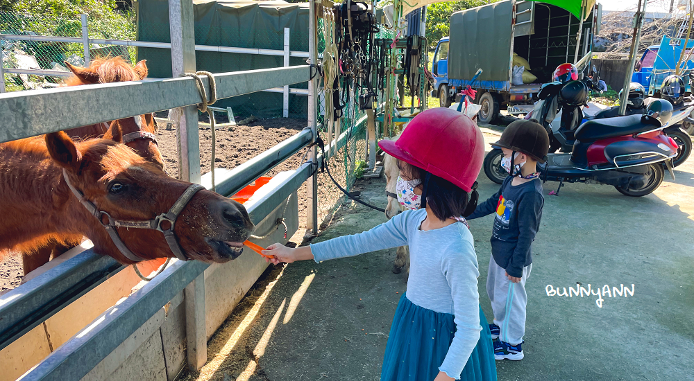 【宜騎緣沙灘馬場】免門票親近馬兒，可以騎馬兜風好地方