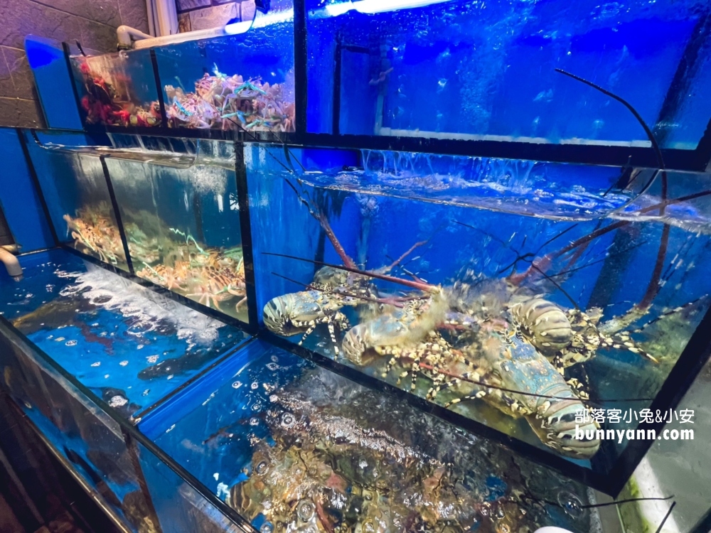 【萬里好吃海產店】龜吼小漁村活海鮮~快速點餐吃海鮮指南