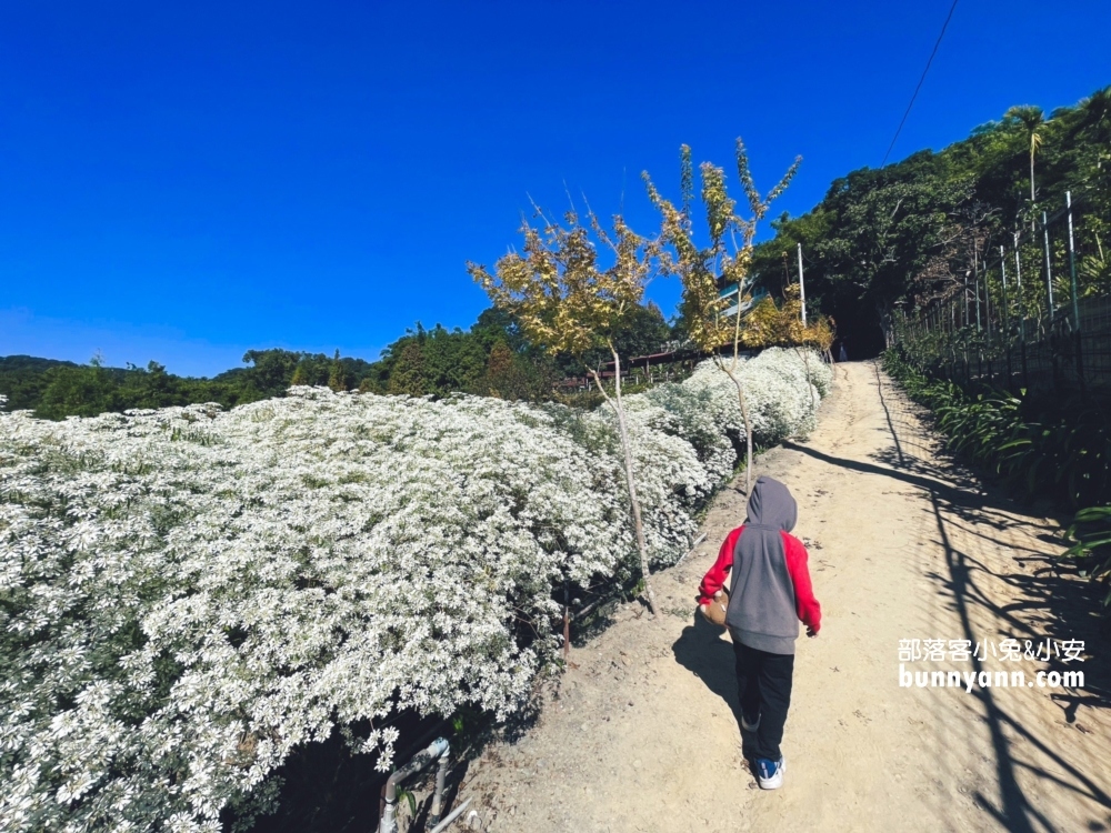 新社【普羅旺斯庭園餐廳】一年四季都能賞到美麗景色好悠閒