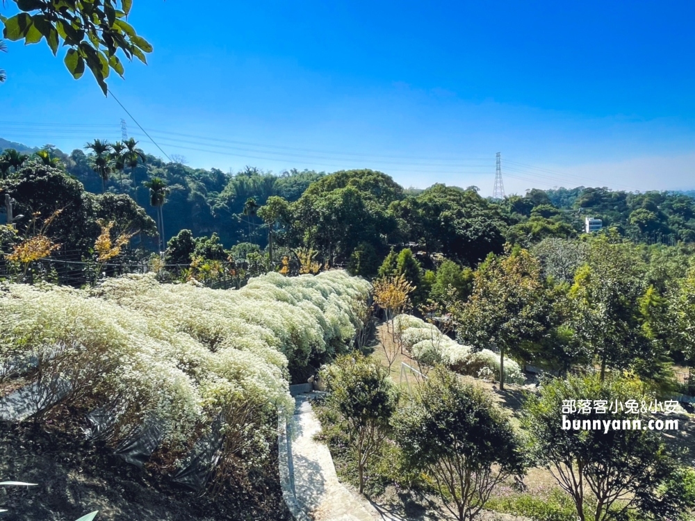 新社【普羅旺斯庭園餐廳】一年四季都能賞到美麗景色好悠閒