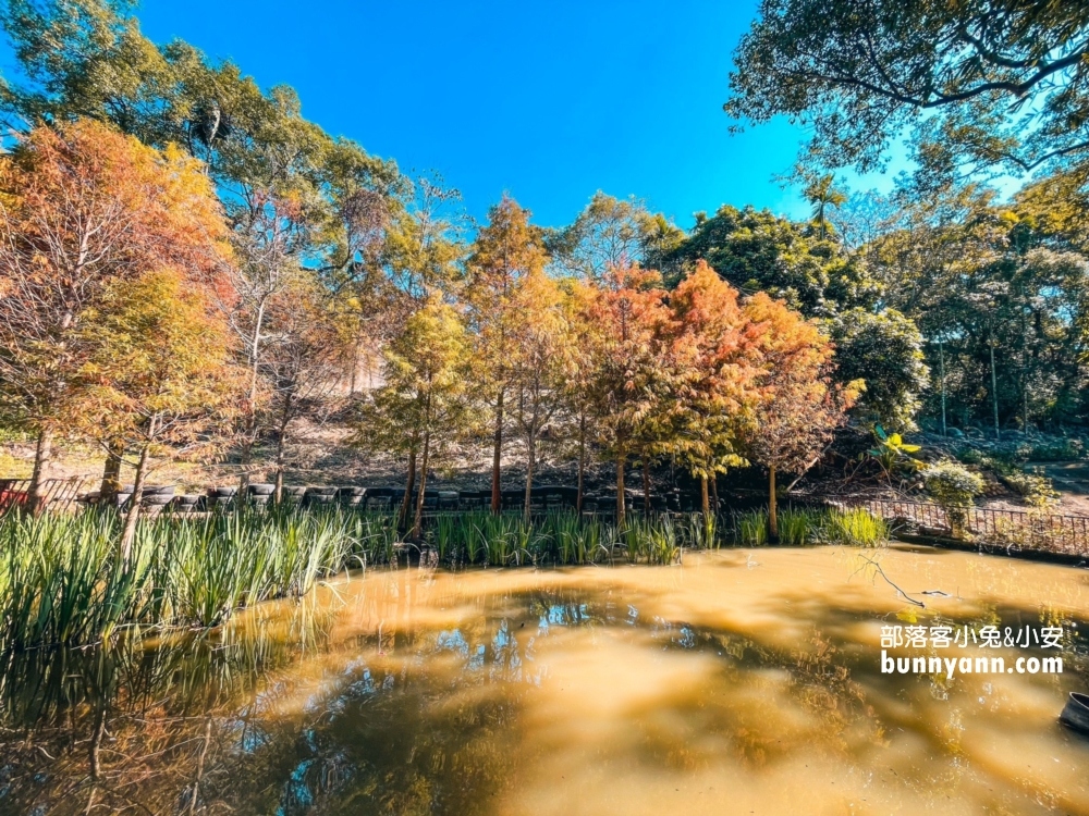 新社【普羅旺斯庭園餐廳】一年四季都能賞到美麗景色好悠閒