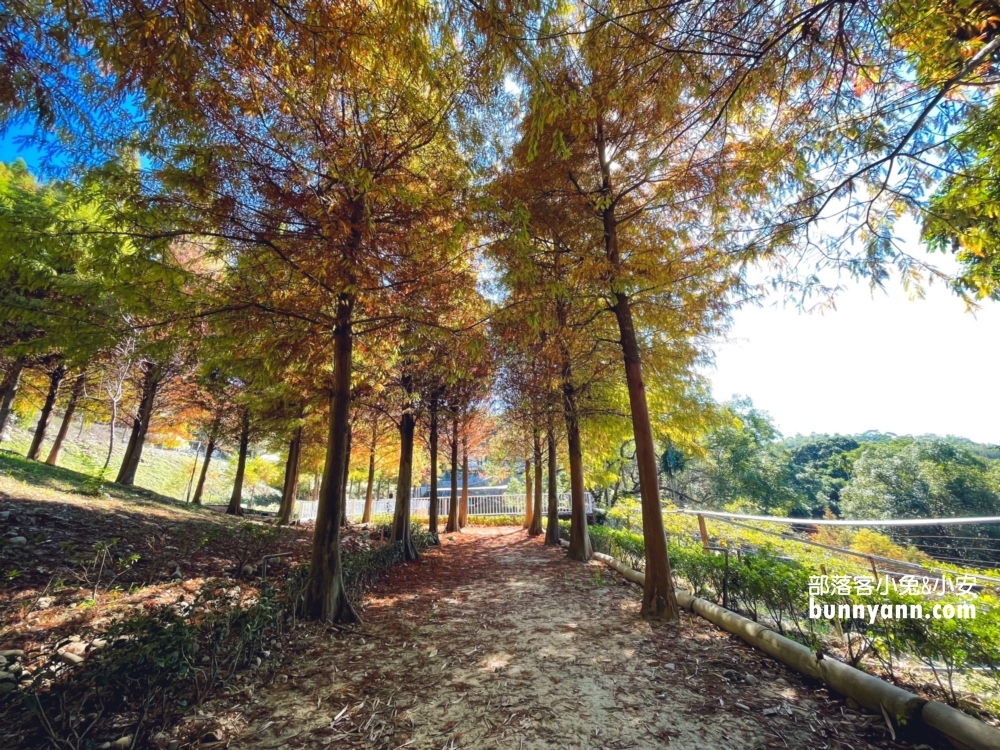 新社【普羅旺斯庭園餐廳】一年四季都能賞到美麗景色好悠閒