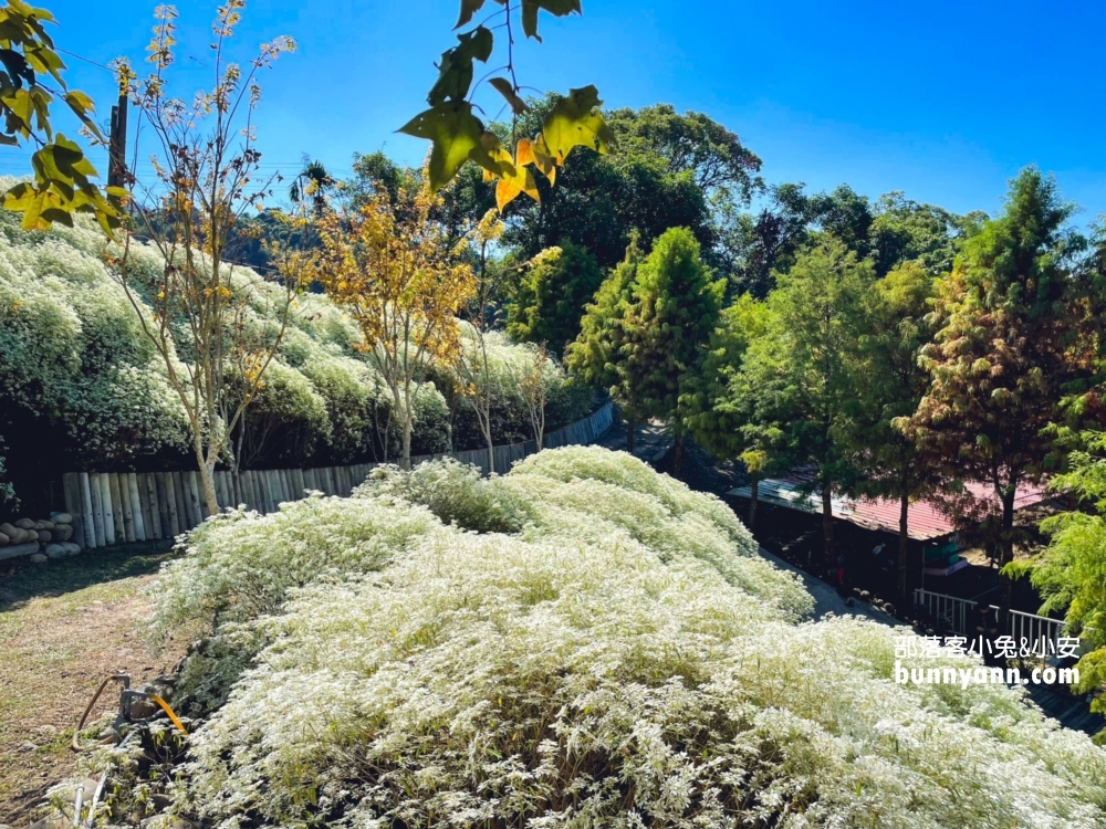 新社【普羅旺斯庭園餐廳】一年四季都能賞到美麗景色好悠閒