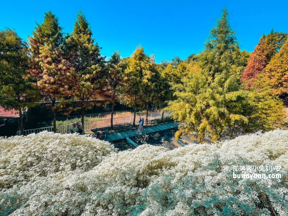 新社【普羅旺斯庭園餐廳】一年四季都能賞到美麗景色好悠閒