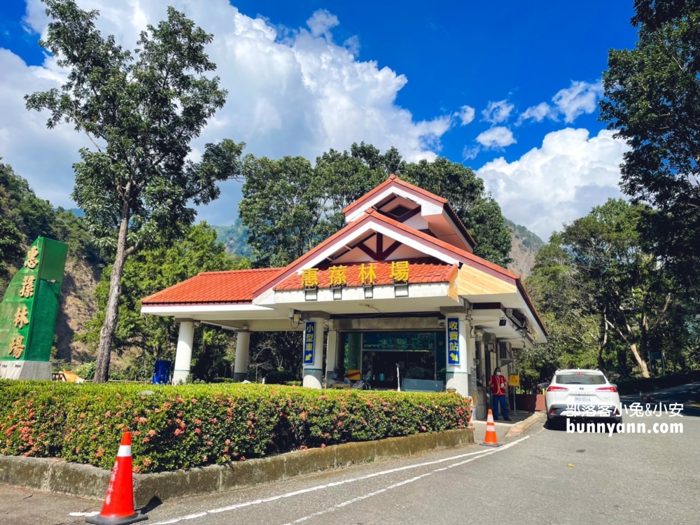 南投沐浴自然》惠蓀林場，怎麼玩我教你漫步森林步道半日遊