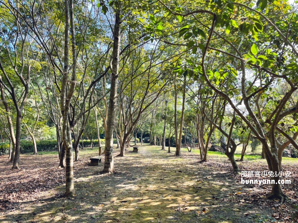 嘉義【觸口自然教育中心】免門票漫步森林公園與樹木館!