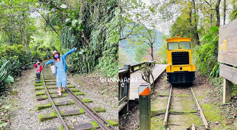 台灣國家森林遊樂區景點推薦，走入山林沐浴芬多精