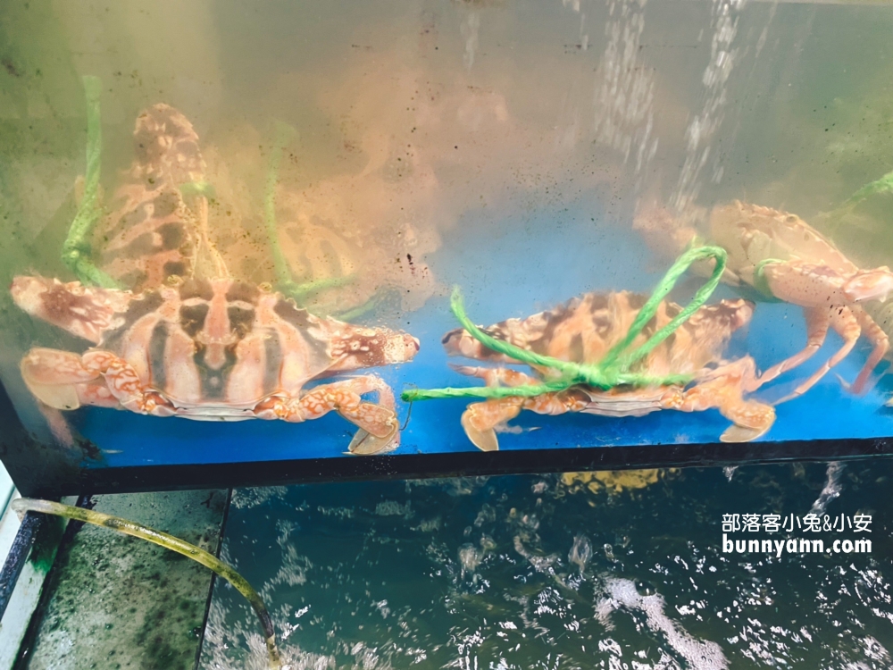 【海之鄉海產餐廳】超便宜一片不用七塊錢生魚片，250元40片真佛