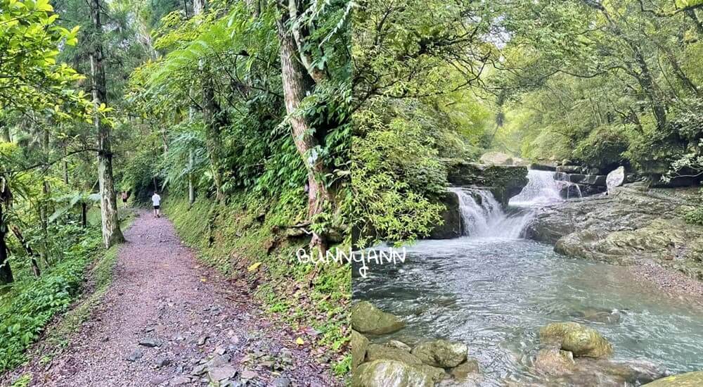 台灣國家森林遊樂區景點推薦，走入山林沐浴芬多精