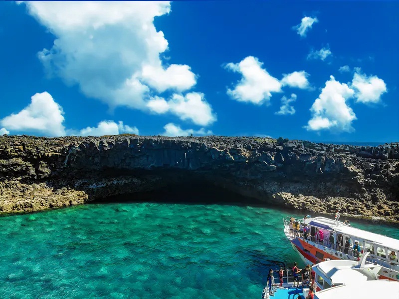 5.大倉島浮潛餵燕鷗