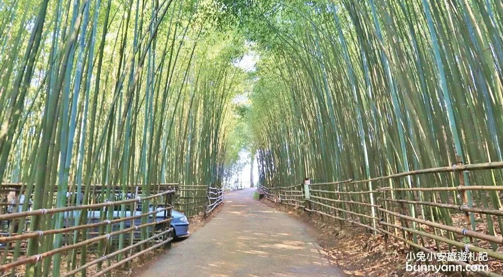 苗栗泰安》烏嘎彥竹林，台版小京都竹林，走進美麗嵐山竹林隧道(含路線) @小兔小安*旅遊札記