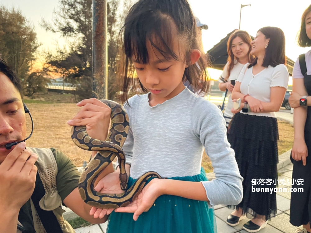 高美濕地親子生態導覽，一起漫步夕陽下探索濕地生態