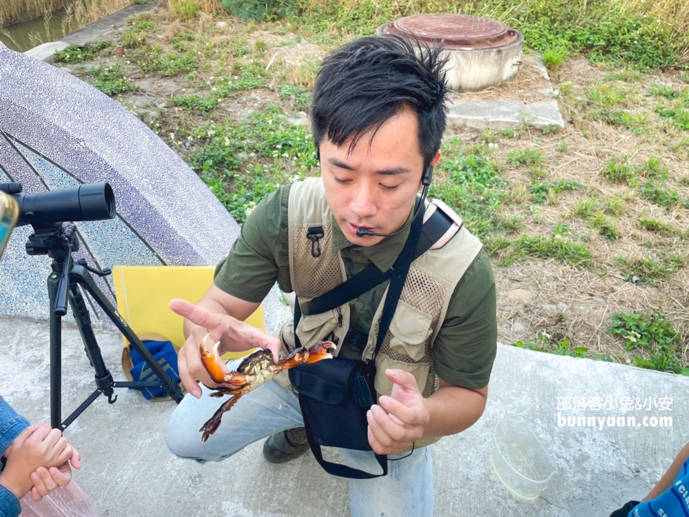 高美濕地親子生態導覽，一起漫步夕陽下探索濕地生態