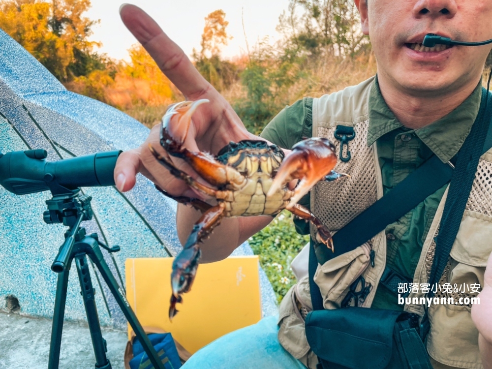 高美濕地親子生態導覽，一起漫步夕陽下探索濕地生態