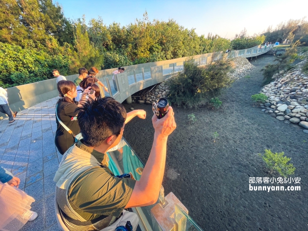 高美濕地親子生態導覽，一起漫步夕陽下探索濕地生態