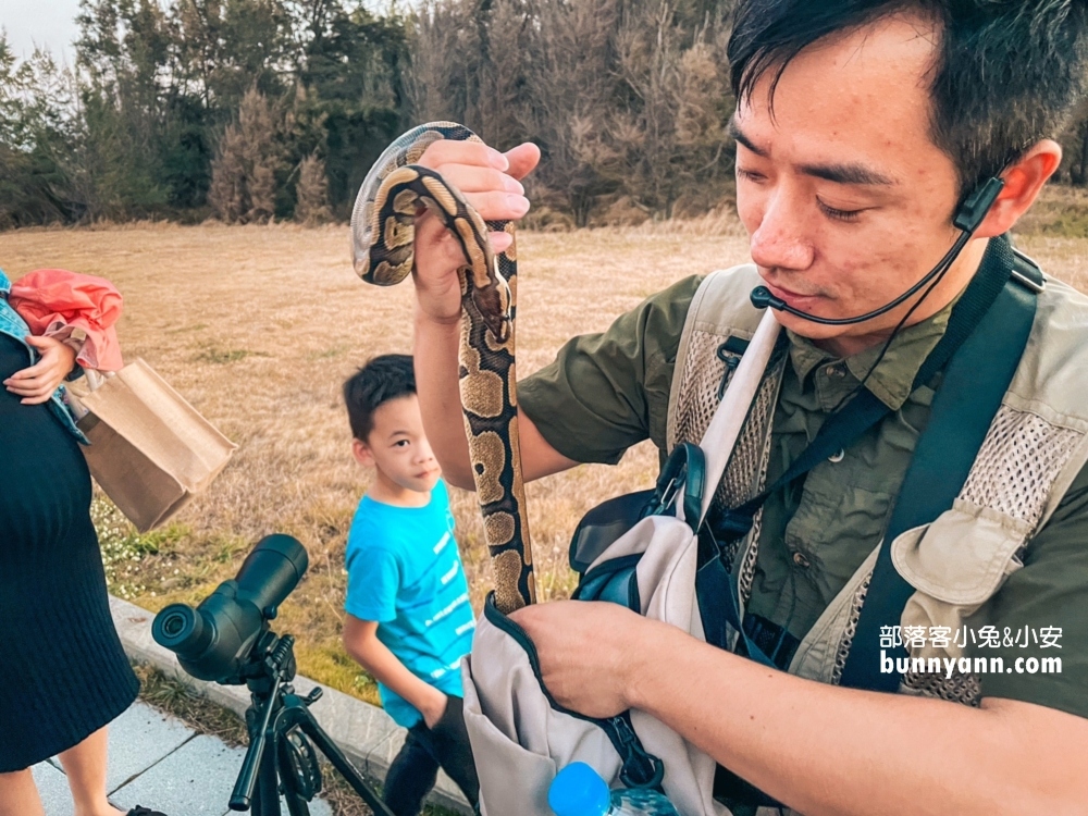 高美濕地親子生態導覽，一起漫步夕陽下探索濕地生態