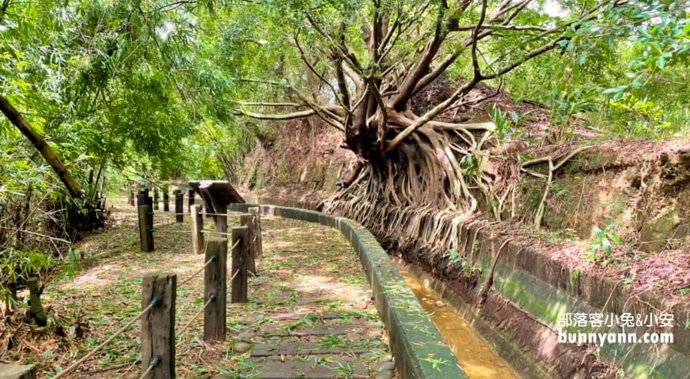 台中烏日知高圳步道，漫遊森林水圳步道，登山肉腳也能輕鬆走