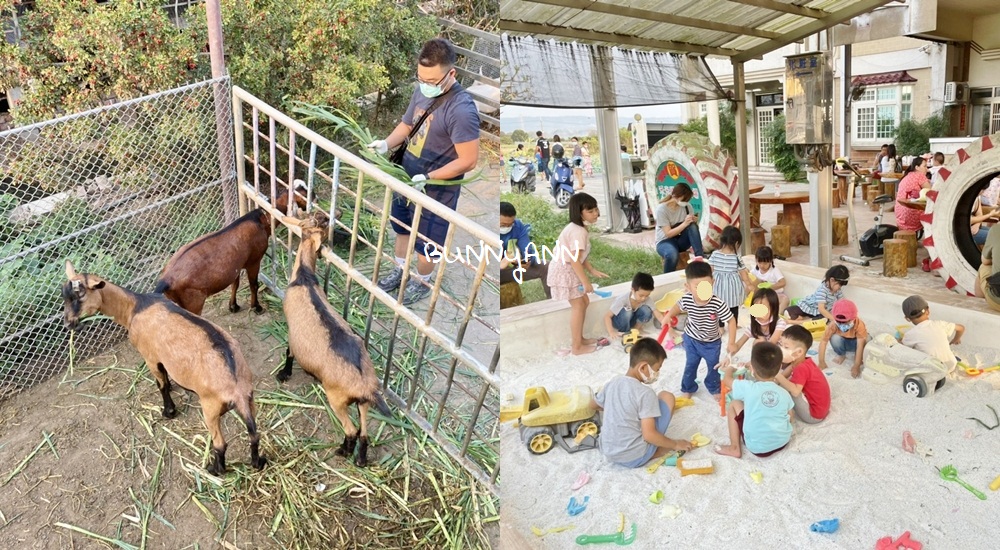 高雄禾光牧場｜免門票羊牧場，自己割牧草餵羊，暢玩親子沙坑