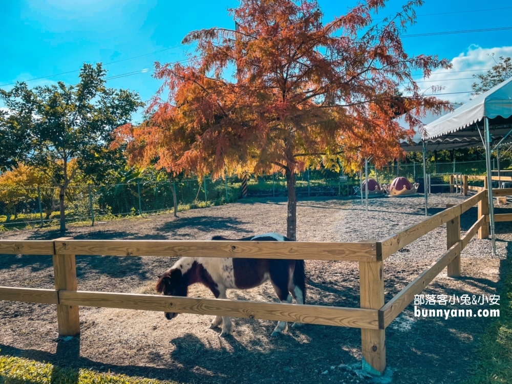 【稻庄休閒農場】來騎電動車跟餵水豚君吃飯，超美田園景色隨你賞。