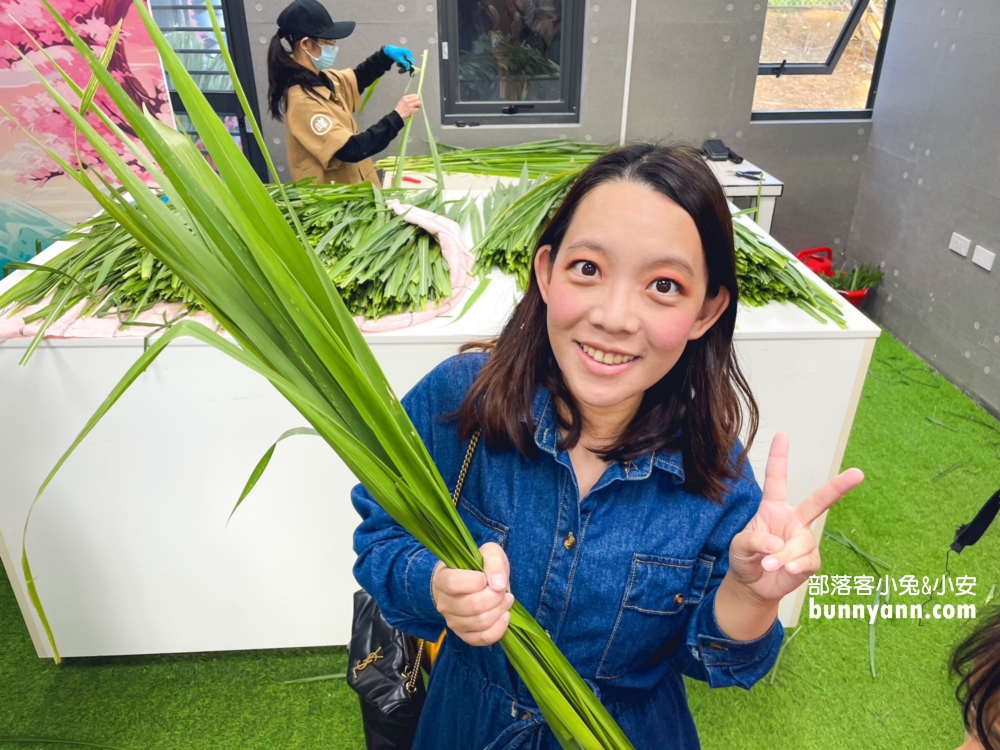 嘉義農場【咩咩上樹萌寵樂園】兩分鐘看完環境與門票資訊總整理