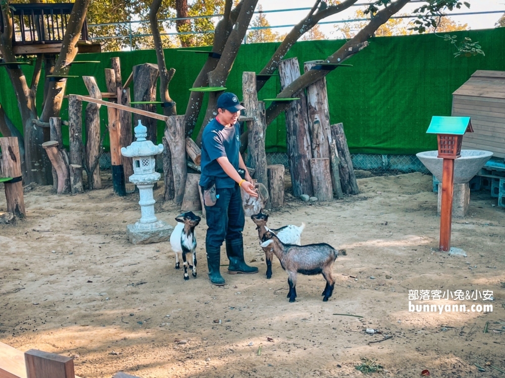 嘉義農場【咩咩上樹萌寵樂園】兩分鐘看完環境與門票資訊總整理。