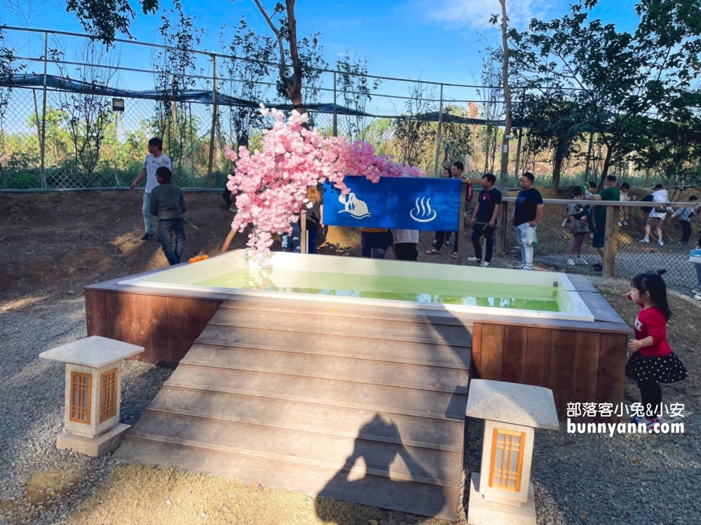 嘉義農場【咩咩上樹萌寵樂園】兩分鐘看完環境與門票資訊總整理