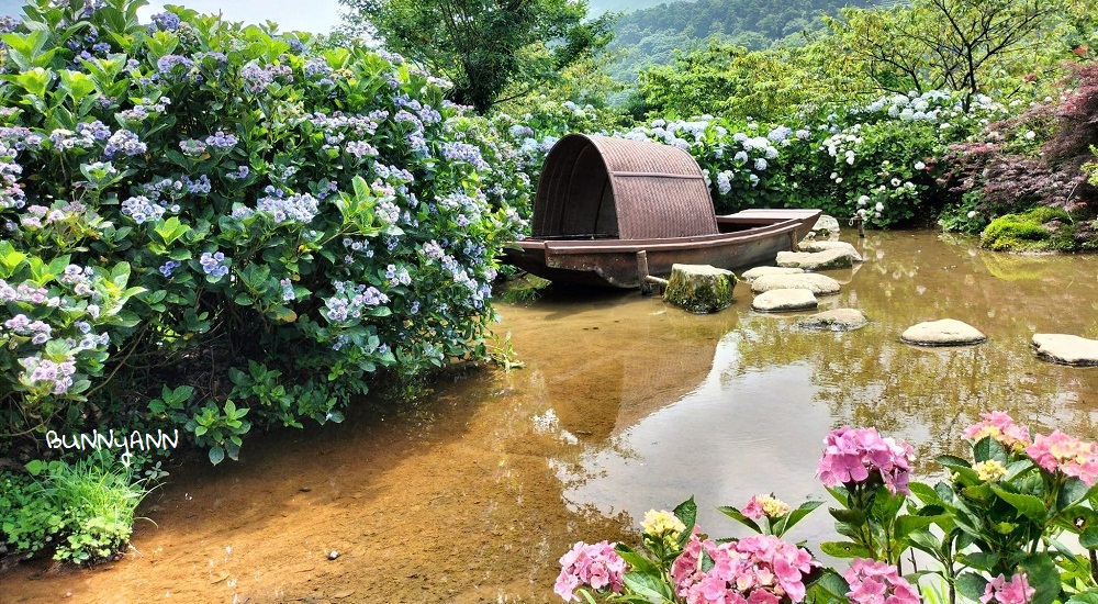 竹子湖「花與樹繡球花園」夢幻系繡球花仙境就在這了