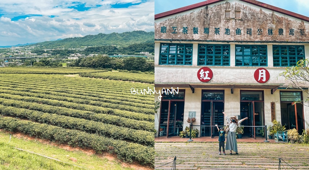 全台十間「景觀茶園」與「觀光茶廠」推薦，尋找茶金歲月風華