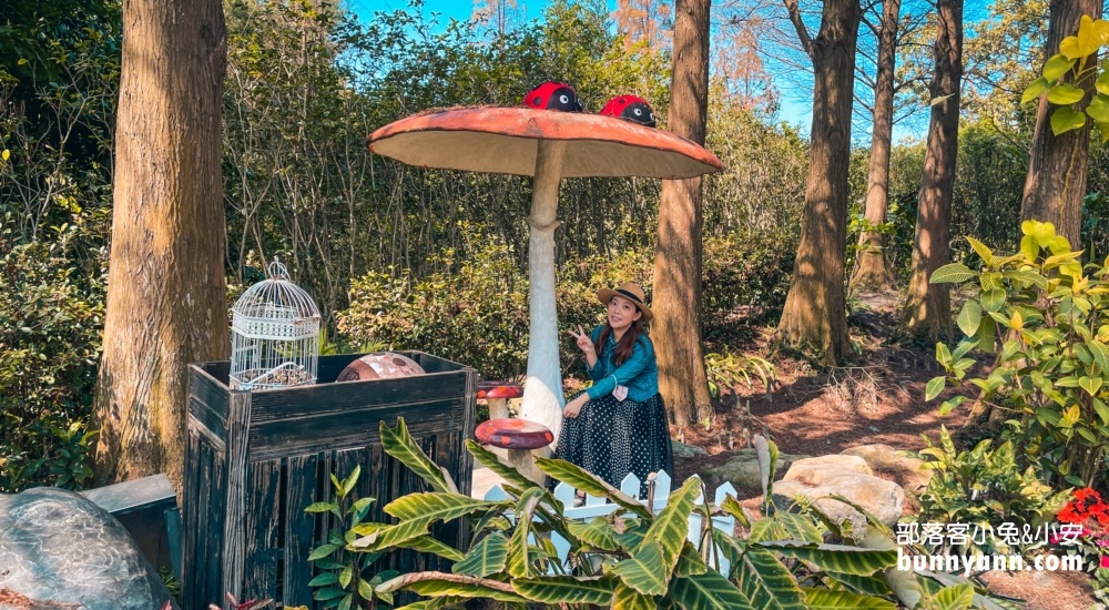 彰化【菁芳園】美麗登場，夢幻繽紛花牆，玻璃小屋隨你拍照