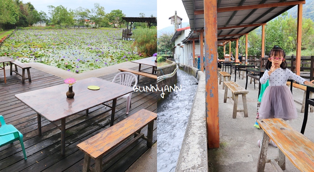 花蓮景點蓮城蓮花園，免費請你喝大壺蓮花茶，還可戲水跟餵魚