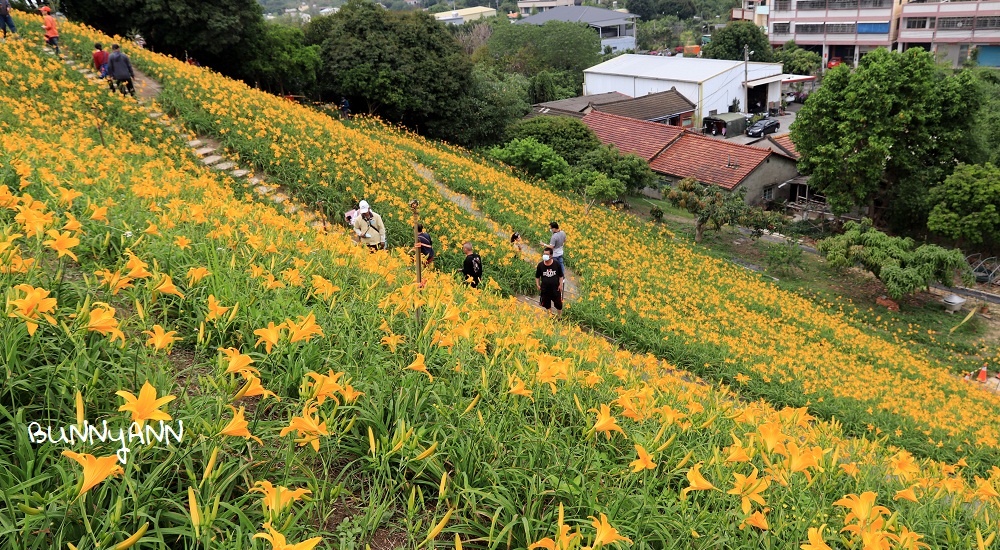 2023【彰化步道推薦】精選10個登山步道與森林景點懶人包