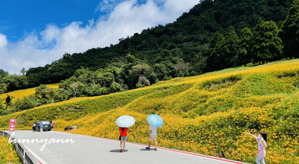 網站近期文章：赤柯山小瑞士農場｜即時影像和花況分享，金針花季熱門賞花景點