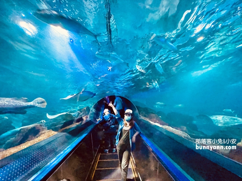 花蓮遠雄海洋公園必玩遊樂園設施一次盤點給你攻略！